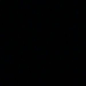 Meet your Posher, Daysi